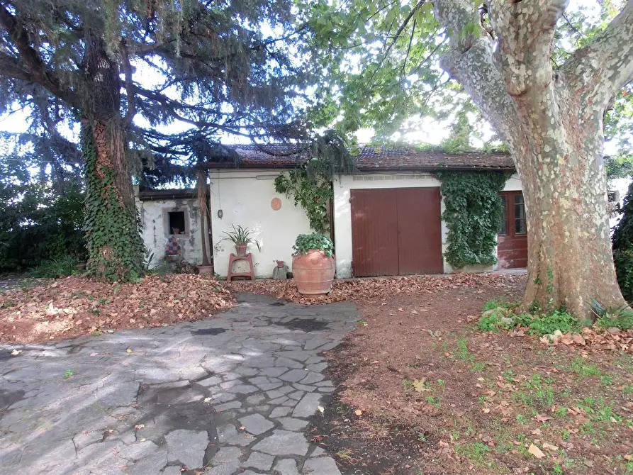 Immagine 4 di Terratetto in vendita  a Cascina