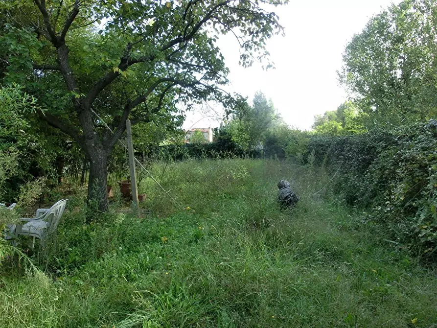 Immagine 6 di Terratetto in vendita  a Cascina