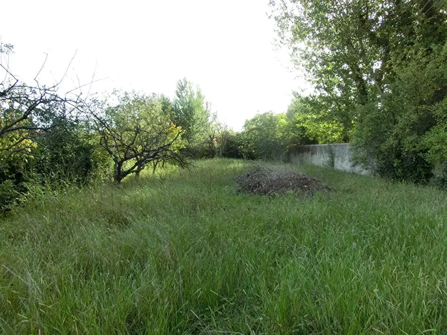 Immagine 5 di Terratetto in vendita  a Cascina