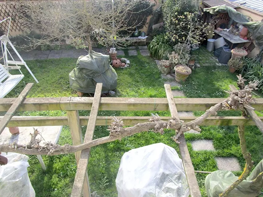 Immagine 7 di Terratetto in vendita  a Empoli