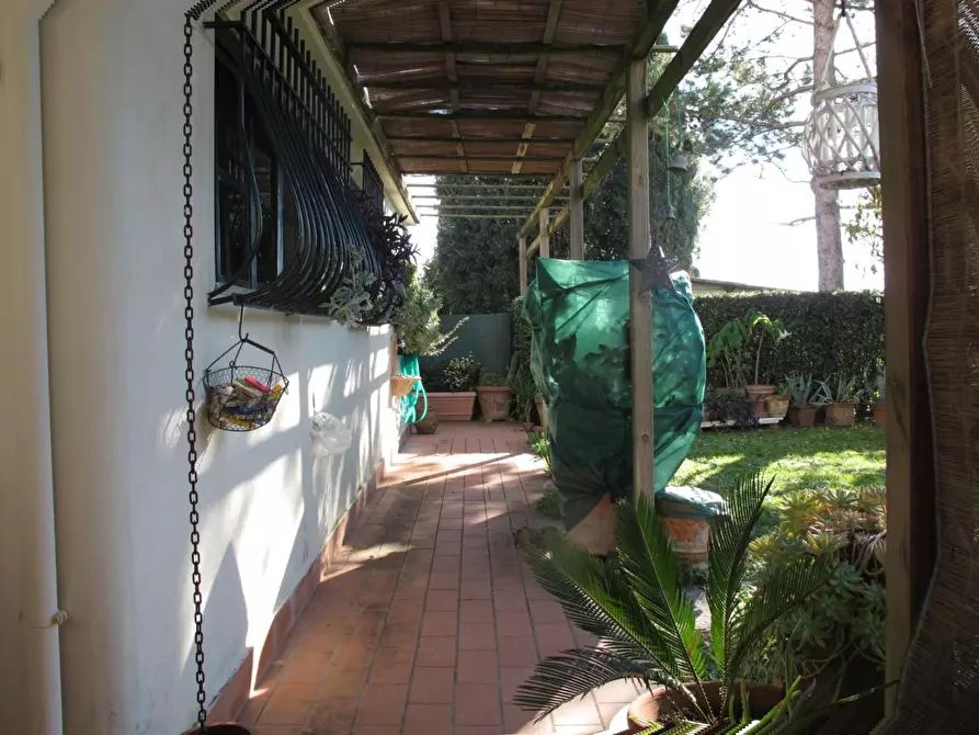 Immagine 6 di Terratetto in vendita  a Empoli