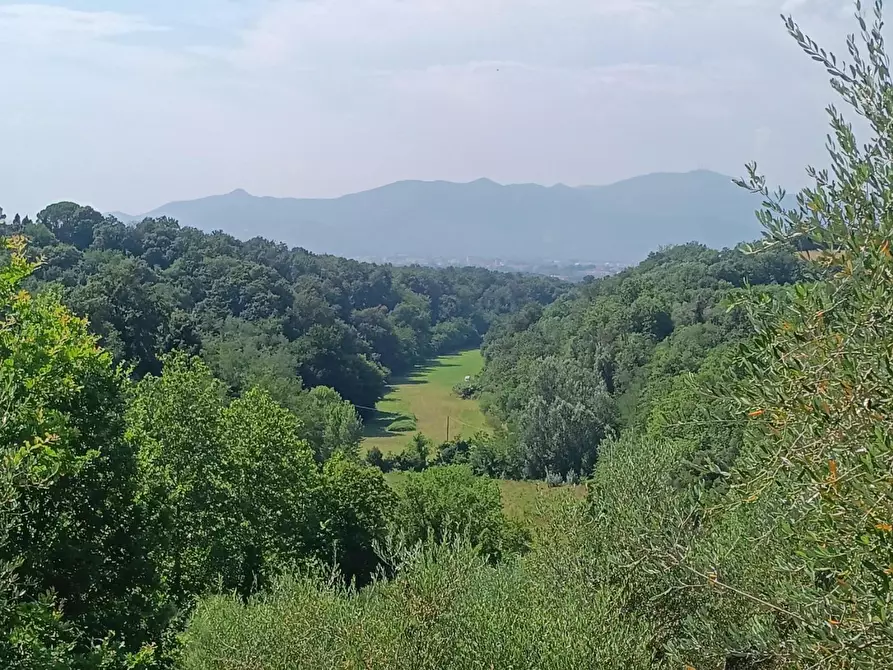 Immagine 2 di Terreno agricolo in vendita  a Pontedera