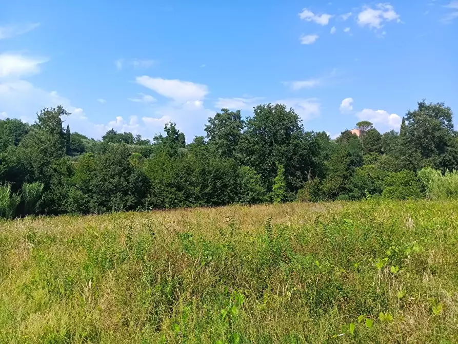 Immagine 4 di Terreno agricolo in vendita  a Pontedera