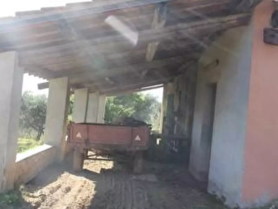 Immagine 5 di Casa colonica in vendita  a Guardistallo
