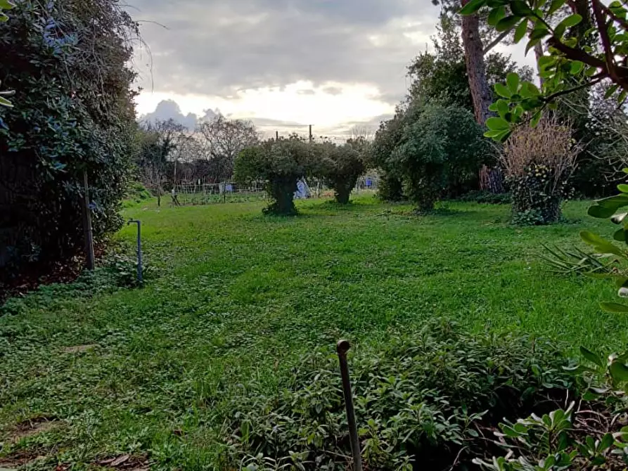 Immagine 18 di Villa in vendita  a Cascina