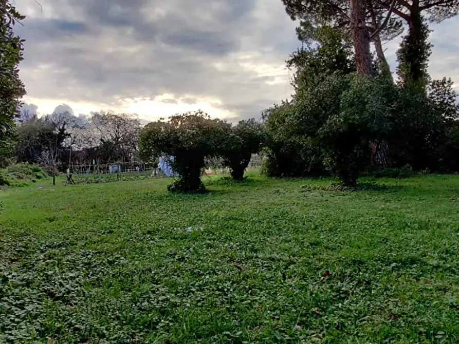 Immagine 12 di Villa in vendita  a Cascina