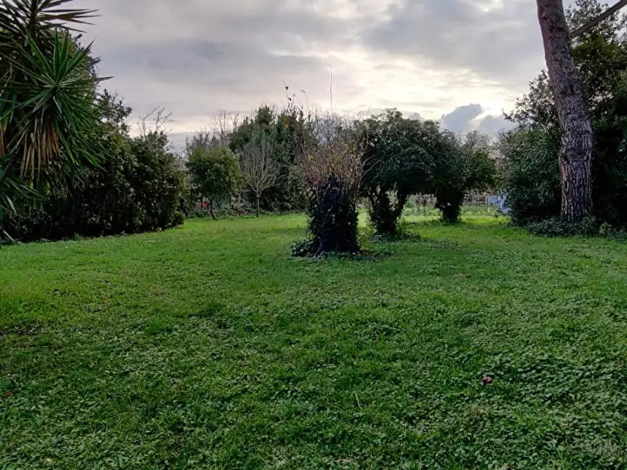 Immagine 23 di Villa in vendita  a Cascina