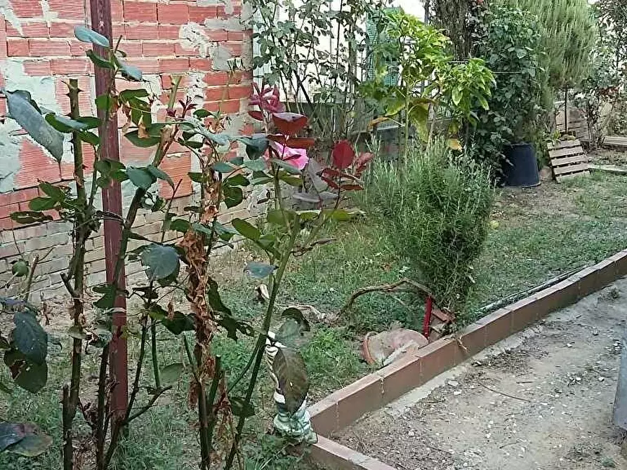 Immagine 9 di Terratetto in vendita  a Cascina