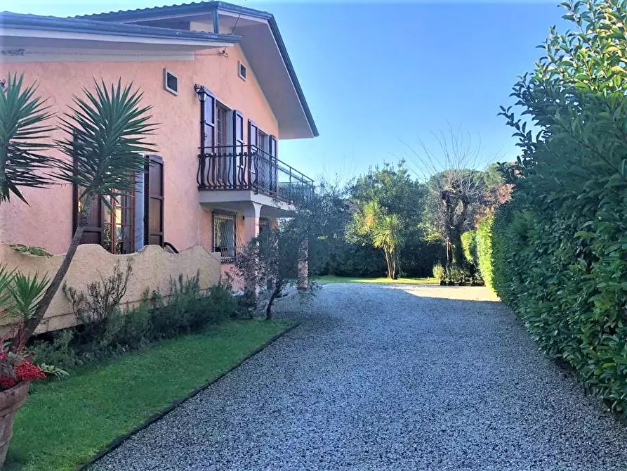 Immagine 5 di Villa in vendita  a Massa
