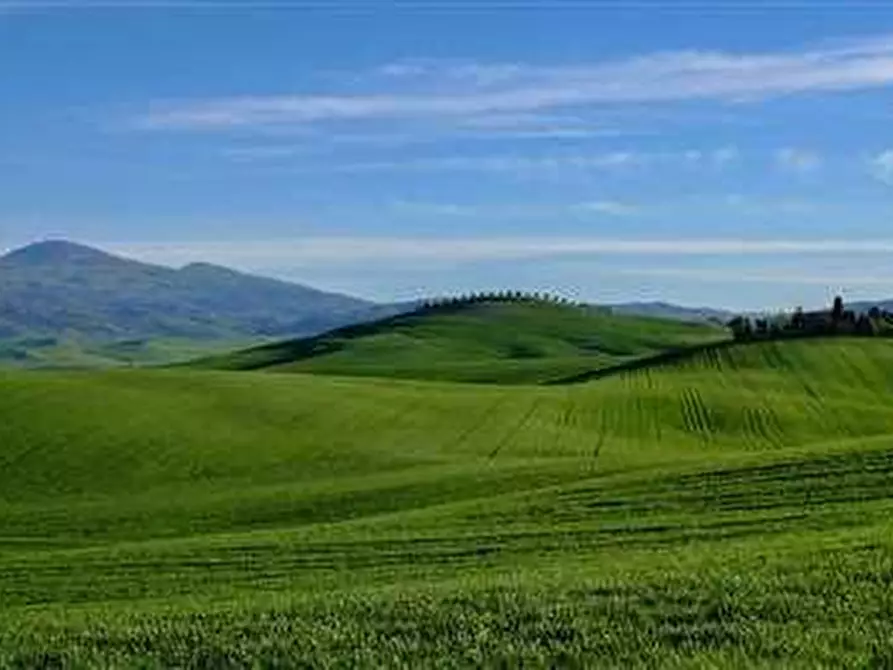 Immagine 1 di Terreno agricolo in vendita  a Montalcino