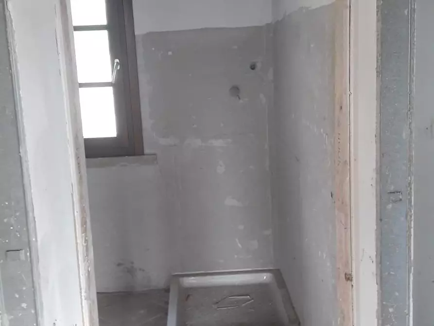 Immagine 8 di Appartamento in vendita  a Monteverdi Marittimo