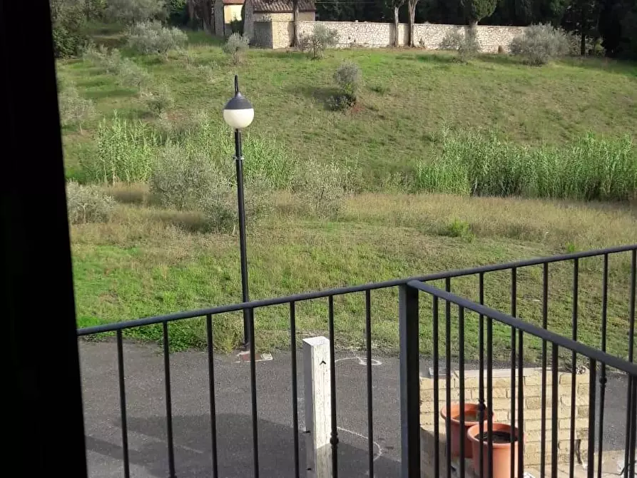 Immagine 3 di Appartamento in vendita  a Monteverdi Marittimo