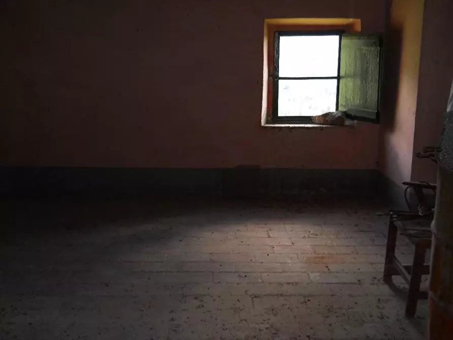 Immagine 16 di Rustico / casale in vendita  a Calci