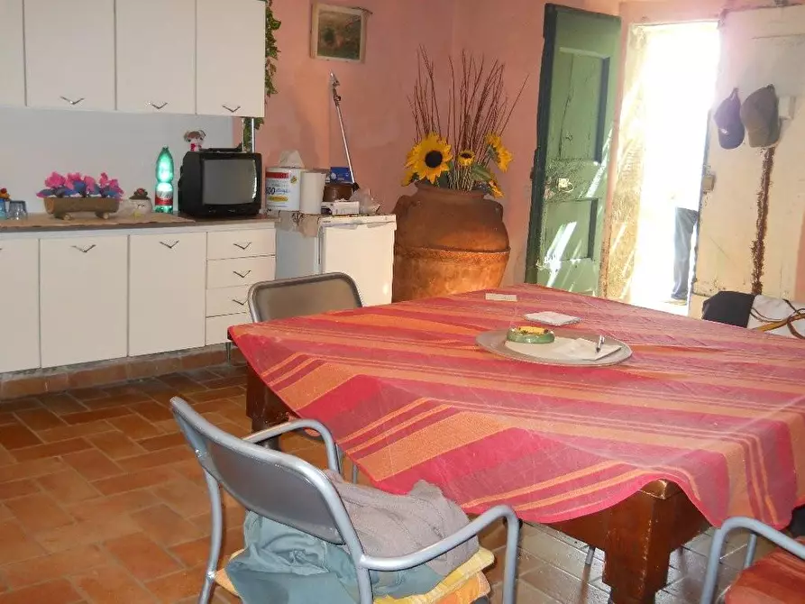 Immagine 5 di Rustico / casale in vendita  a Calci