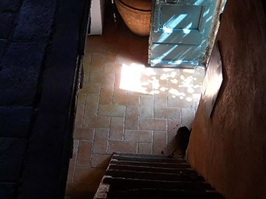 Immagine 11 di Rustico / casale in vendita  a Calci