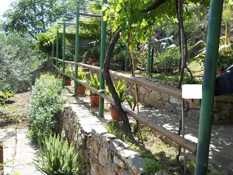 Immagine 3 di Rustico / casale in vendita  a Calci