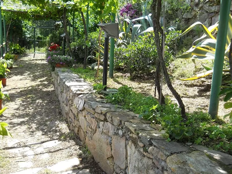 Immagine 2 di Rustico / casale in vendita  a Calci