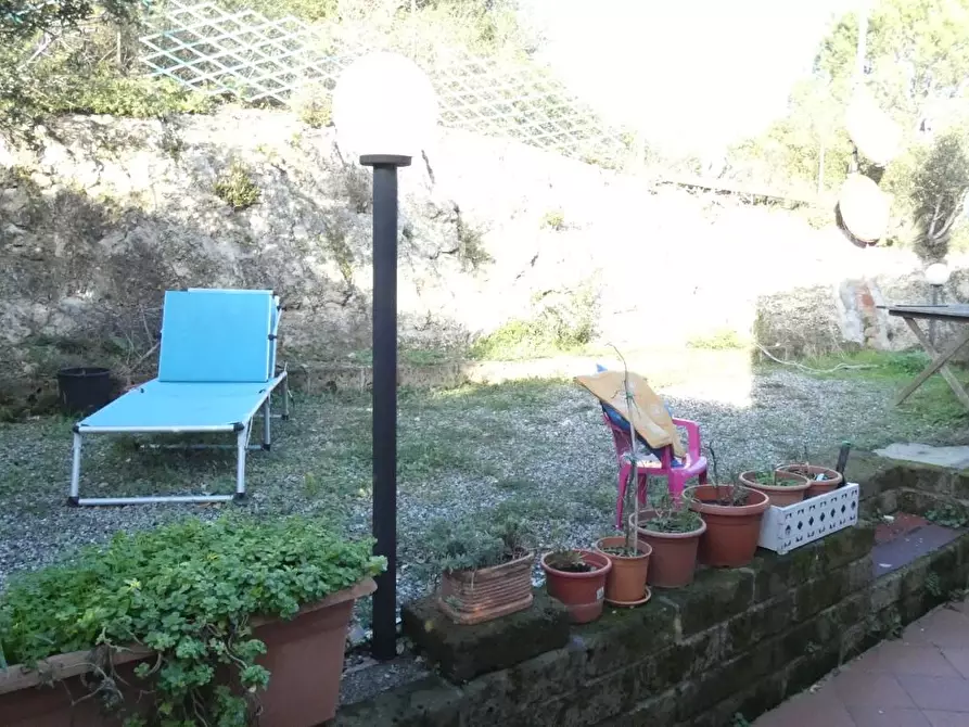 Immagine 20 di Terratetto in vendita  a Rosignano Marittimo