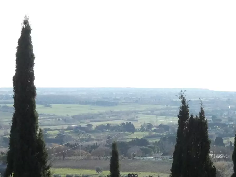 Immagine 26 di Terratetto in vendita  a Rosignano Marittimo
