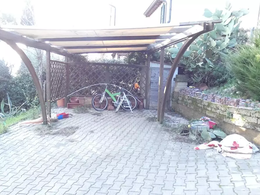 Immagine 29 di Terratetto in vendita  a Rosignano Marittimo