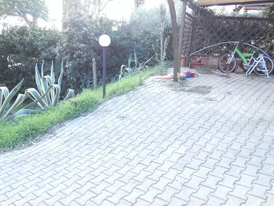 Immagine 30 di Terratetto in vendita  a Rosignano Marittimo