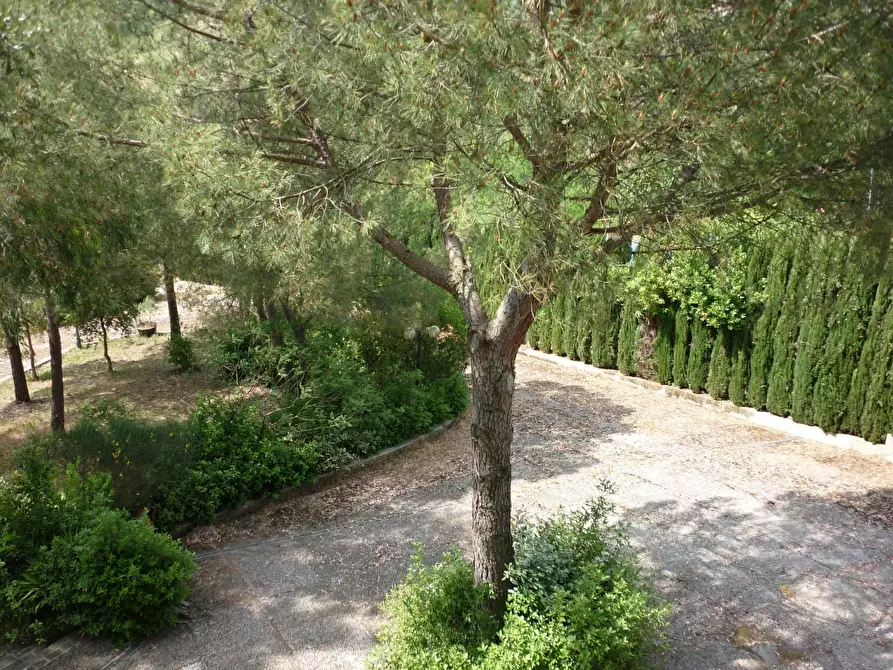 Immagine 25 di Casa bifamiliare in vendita  a Cerreto Guidi