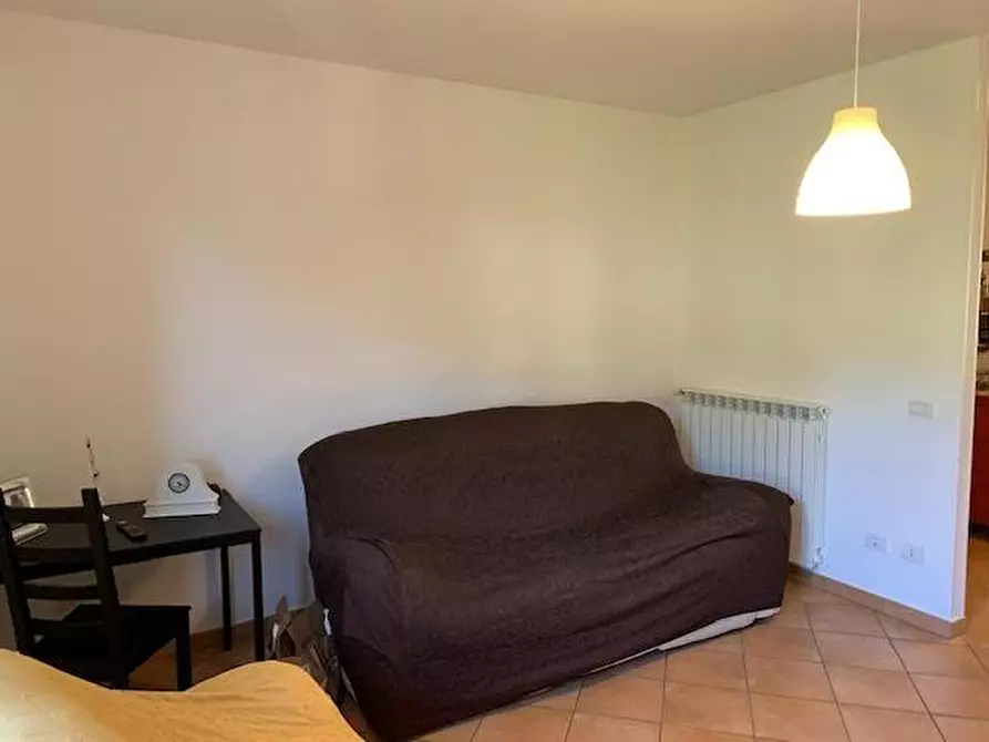 Immagine 15 di Appartamento in vendita  a Calci