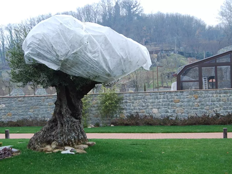 Immagine 43 di Albergo/B&B/Residence in vendita  a Villafranca In Lunigiana