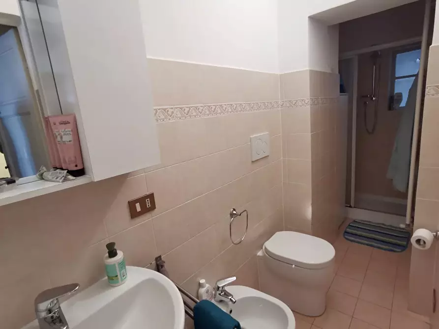 Immagine 12 di Appartamento in affitto  a Pisa