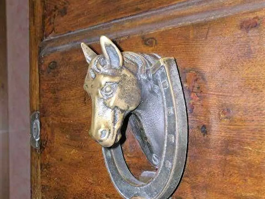 Immagine 7 di Appartamento in vendita  a Lucca