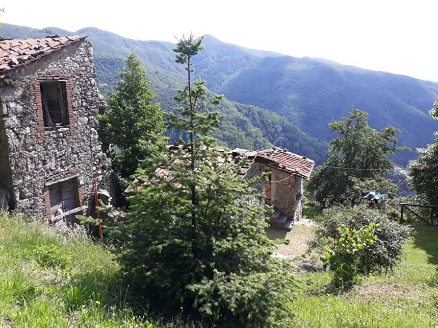Immagine 4 di Rustico / casale in vendita  a Pescaglia