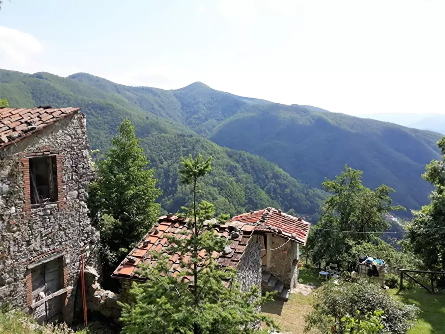 Immagine 5 di Rustico / casale in vendita  a Pescaglia