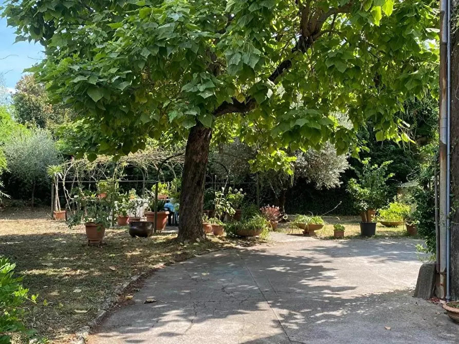 Immagine 73 di Villa in vendita  a Capannori