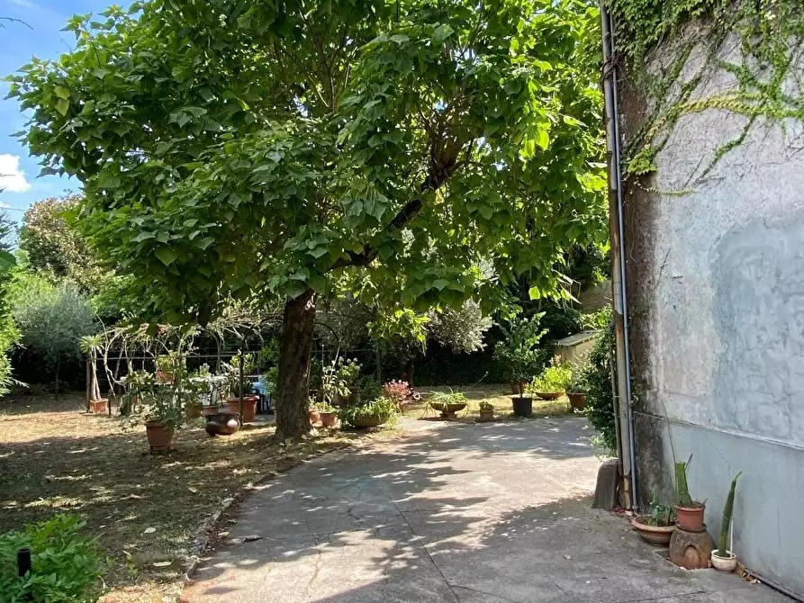 Immagine 58 di Villa in vendita  a Capannori