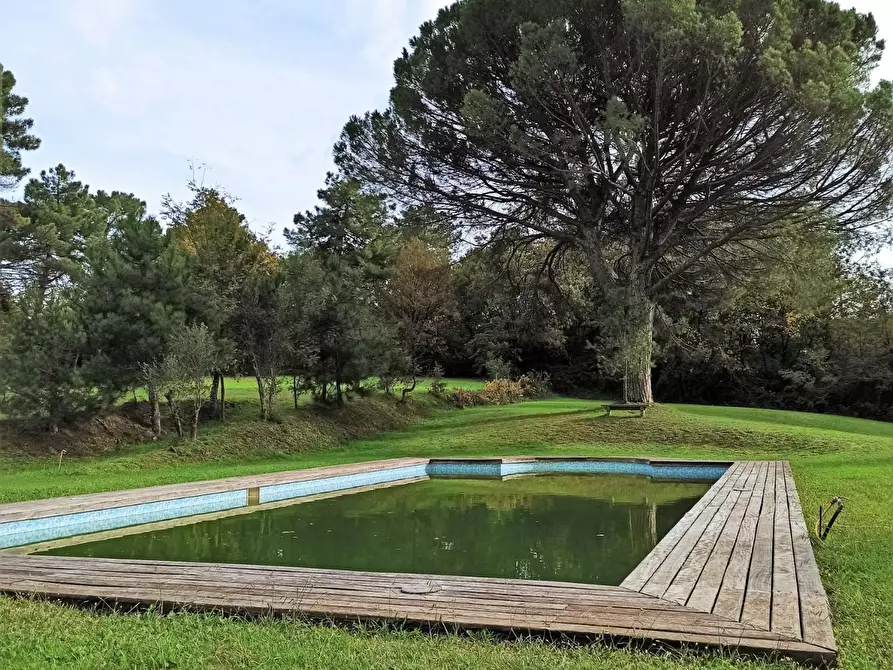 Immagine 4 di Rustico / casale in vendita  a Capannori