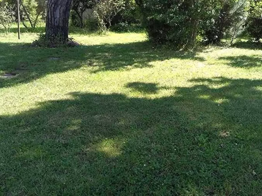 Immagine 4 di Villa in vendita  a Carrara