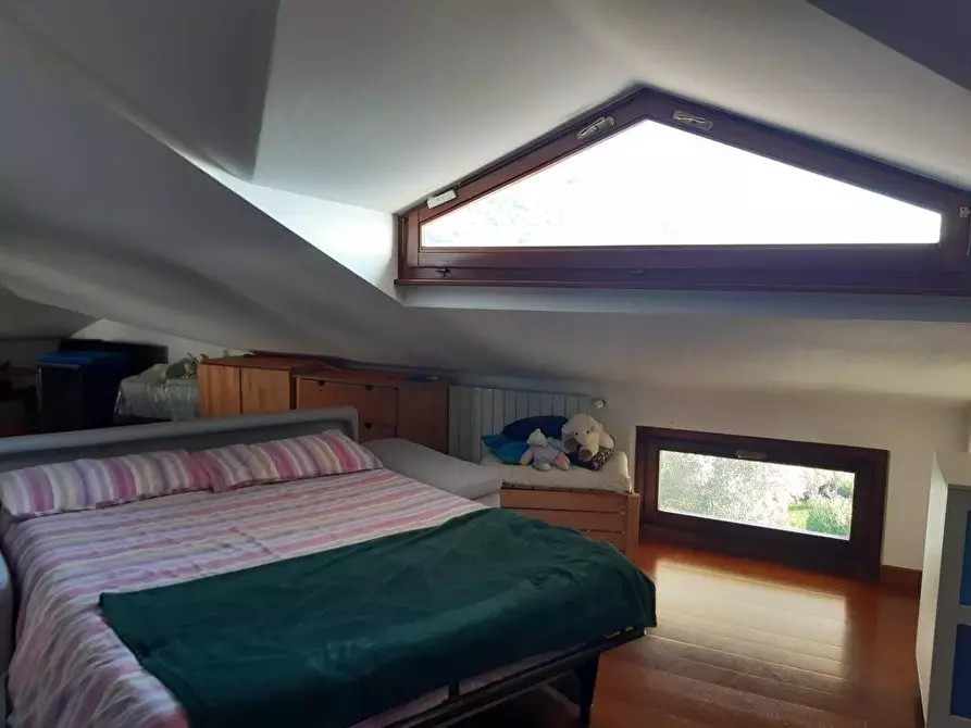 Immagine 18 di Casa trifamiliare in vendita  a Montignoso