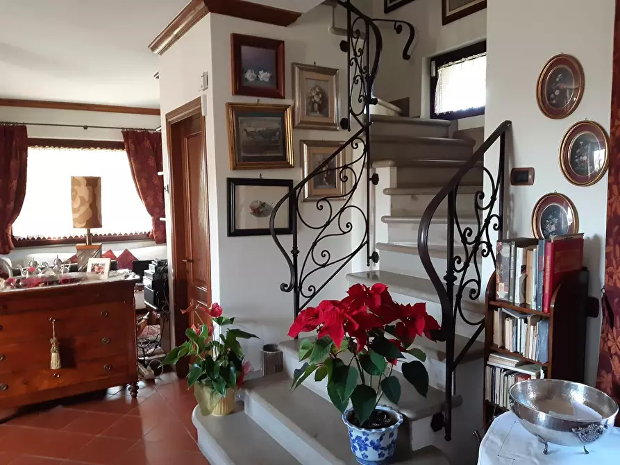 Immagine 7 di Casa trifamiliare in vendita  a Montignoso