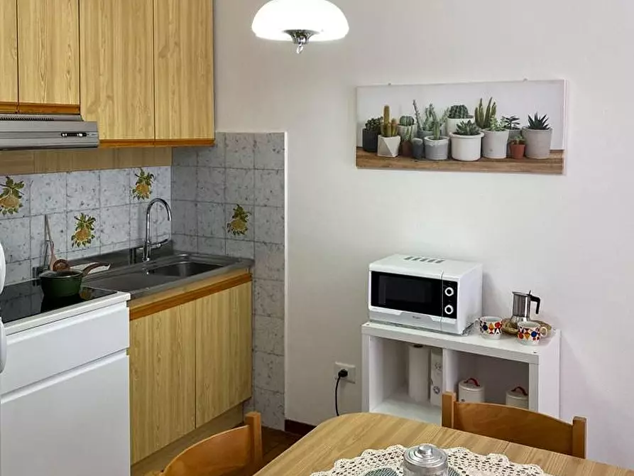 Immagine 5 di Appartamento in affitto  a Rosignano Marittimo