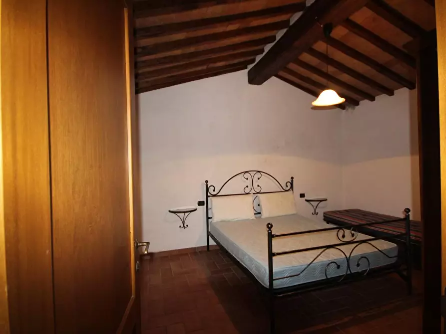 Immagine 13 di Casa colonica in vendita  a Montalcino