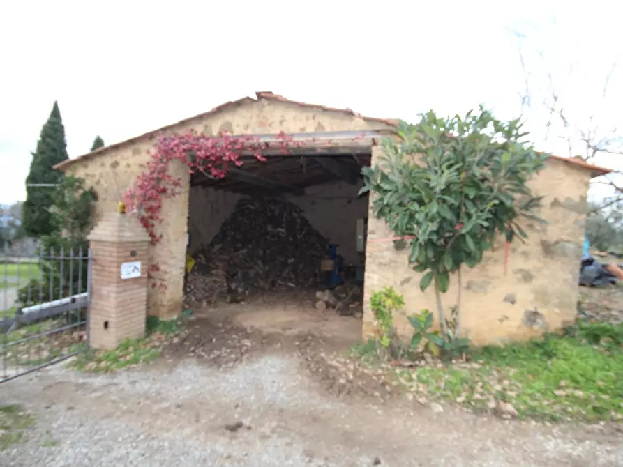 Immagine 5 di Casa colonica in vendita  a Montalcino