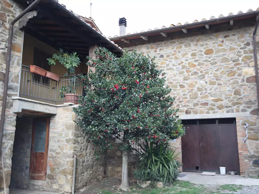 Immagine 4 di Casa colonica in vendita  a Montalcino
