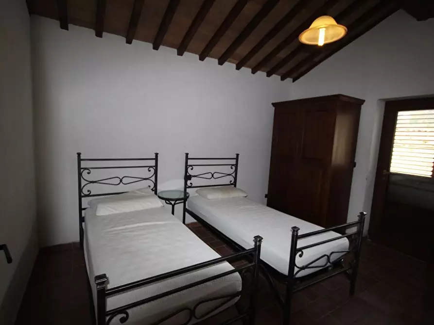 Immagine 11 di Casa colonica in vendita  a Montalcino