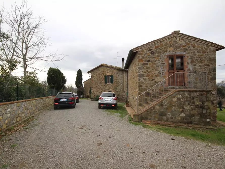 Immagine 2 di Casa colonica in vendita  a Montalcino