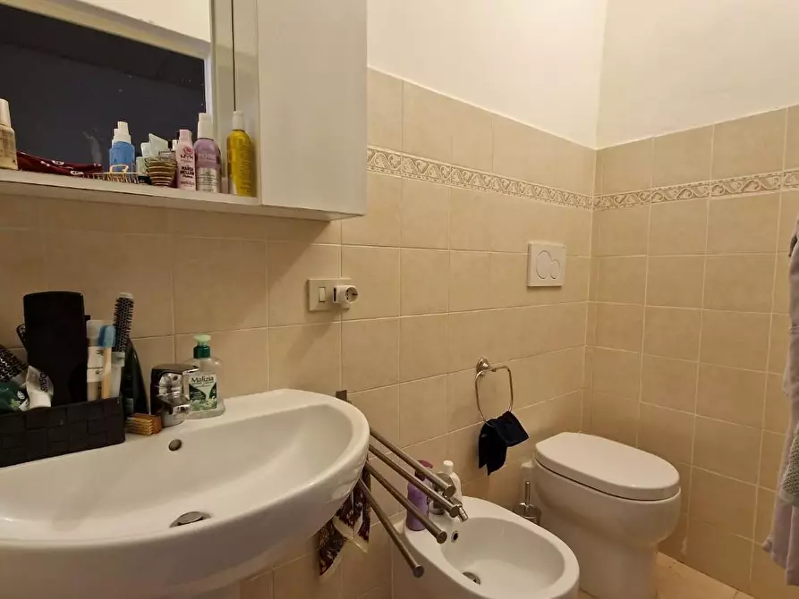 Immagine 15 di Appartamento in affitto  a Pisa
