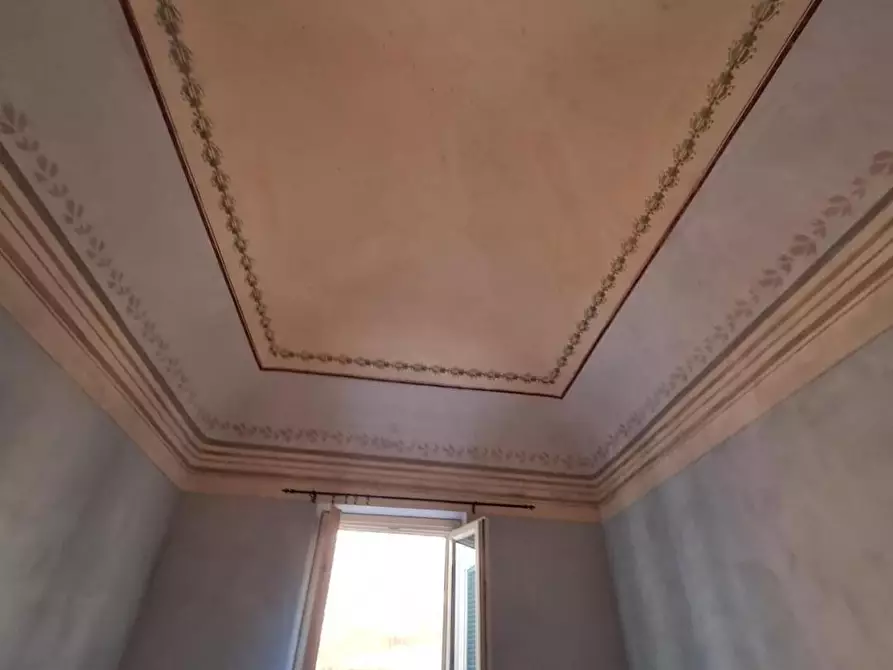 Immagine 7 di Appartamento in affitto  a Pisa