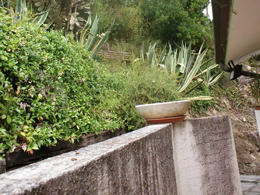 Immagine 3 di Casa bifamiliare in vendita  a Ameglia