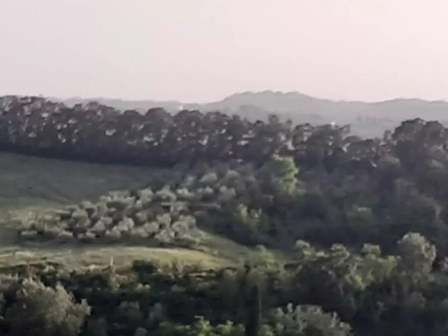 Immagine 20 di Villa in vendita  a San Miniato