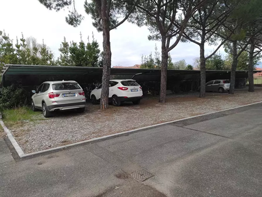 Immagine 18 di Terratetto in vendita  a Ameglia