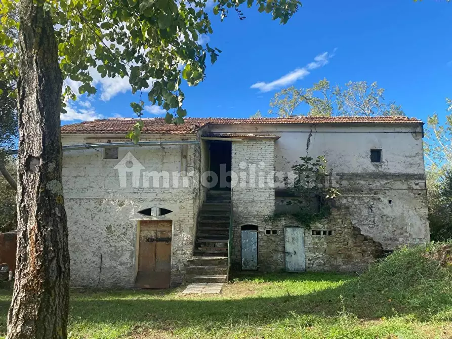 Immagine 35 di Rustico / casale in vendita  a Palaia